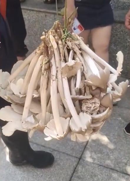 贵州智造之光，探索贵州前沿高科技产品引领未来生活