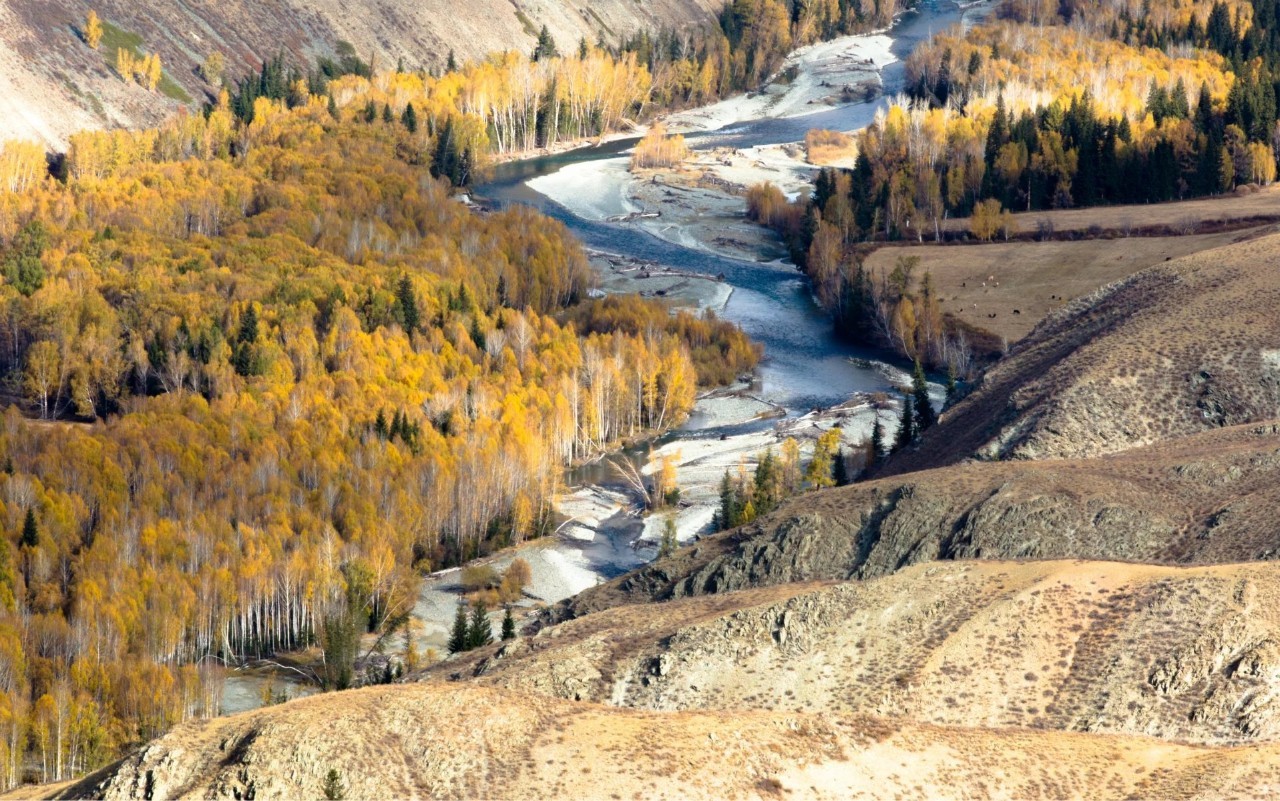 丝路明珠新疆，千年古韵焕新彩